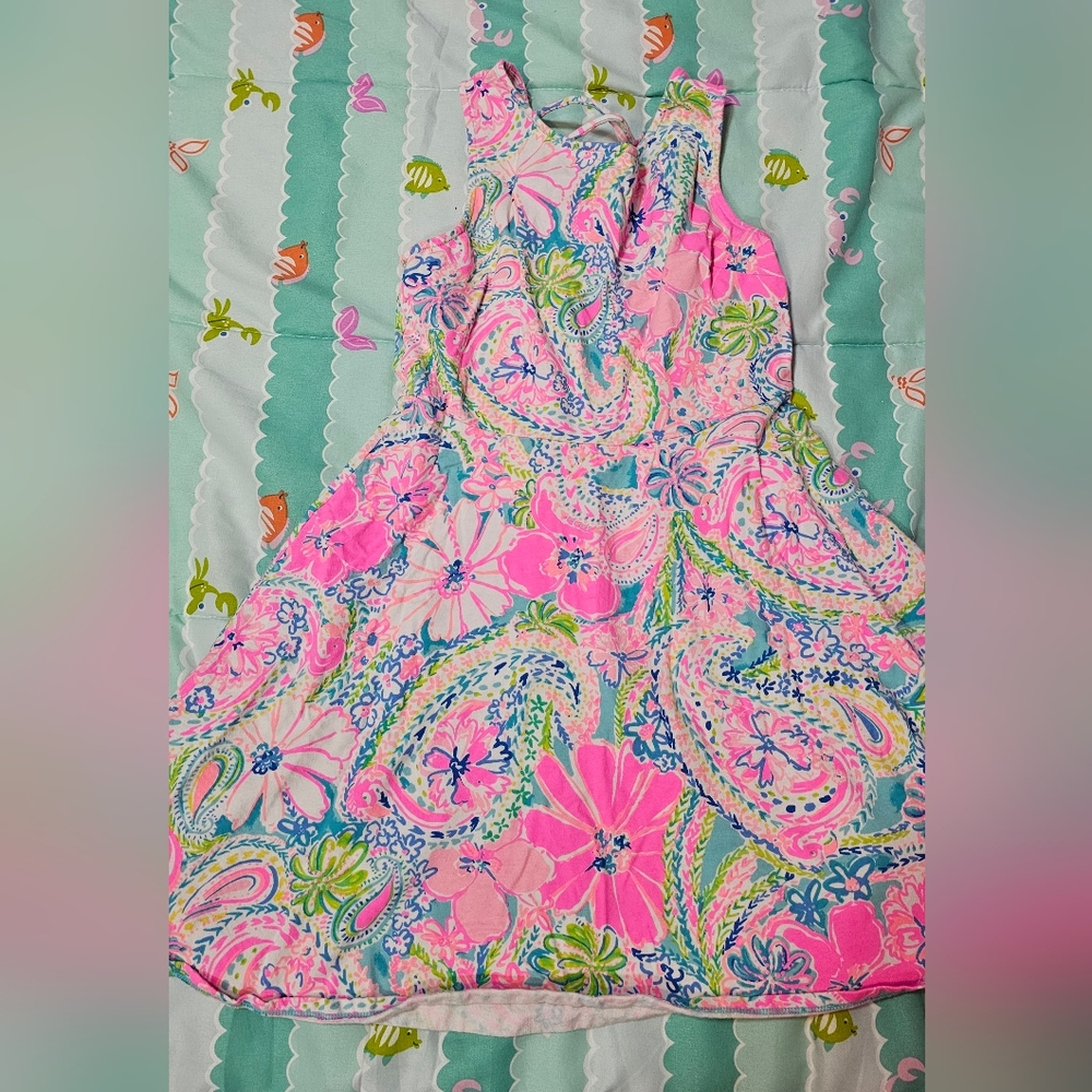 Lilly pulitzer dress